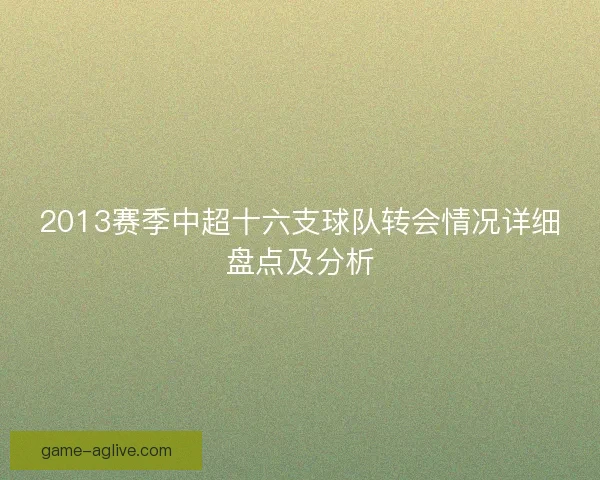 2013赛季中超十六支球队转会情况详细盘点及分析