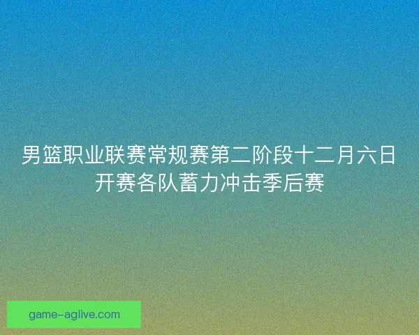 男篮职业联赛常规赛第二阶段十二月六日开赛各队蓄力冲击季后赛